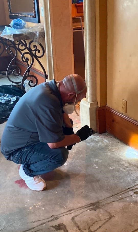  A HOME'S HIDDEN MENACE: NAVIGATING BASEMENT MOLD 