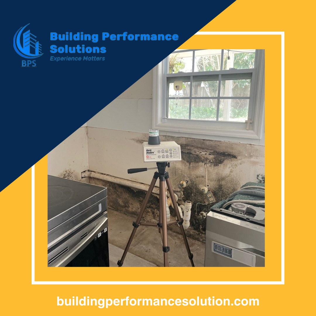  Unveiling the Hidden Menace: Deciphering Basement Mold Causes and Remedies 