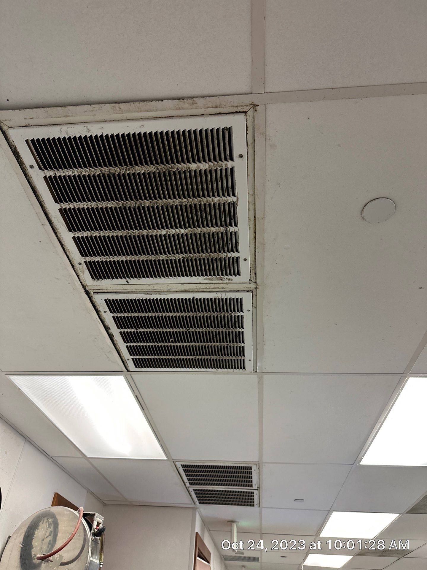 EMBRACING SUMMER'S ARRIVAL: GUARDING AGAINST THE MOLD MENACE