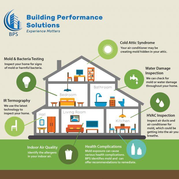 Mold Removal vs. Mold Remediation: What Sets Them Apart? 