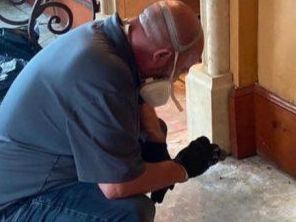  Banishing Basement Blues: A Holistic Approach to Musty Odor Elimination 